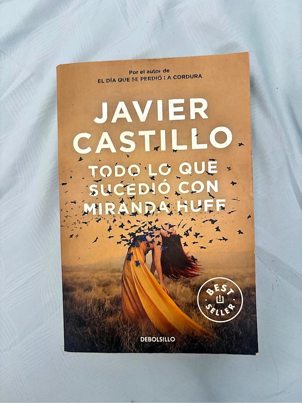 Debolsillo Todo lo que sucedió con Miranda Huff Novel